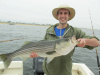 Ryan's striper 7-28-13